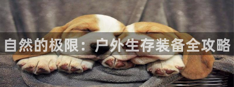 先锋娱乐转进去钱