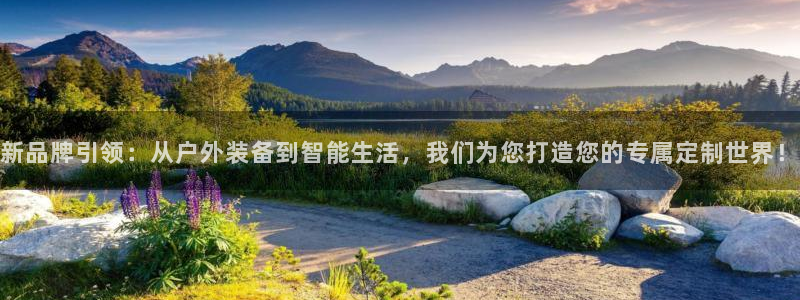 网上炸金花先锋娱乐