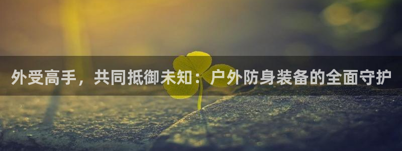 先锋电子旗下先锋娱乐