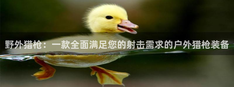 亚洲先锋娱乐跌