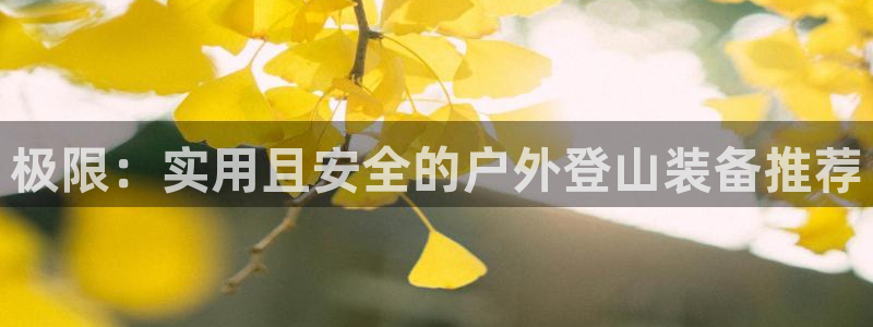 先锋娱乐管理集团怎么样