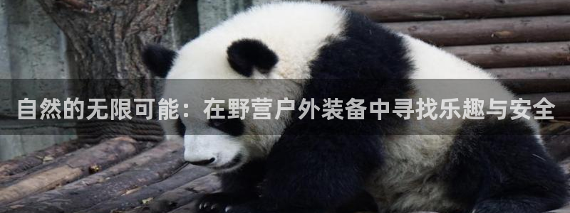 先锋娱乐简介图片