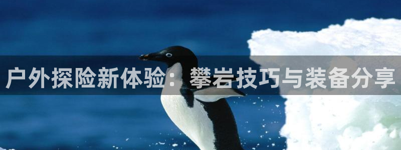 威斯汀娱乐先锋