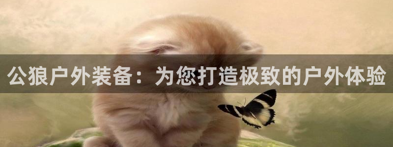 先锋娱乐电子游戏