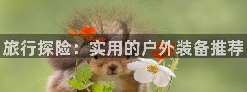 先锋娱乐理财logo