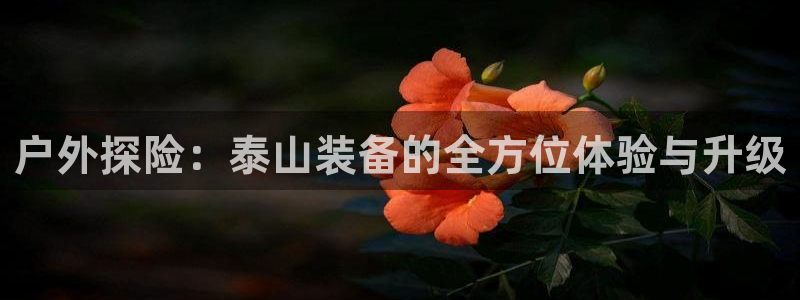 先锋澳门新娱乐