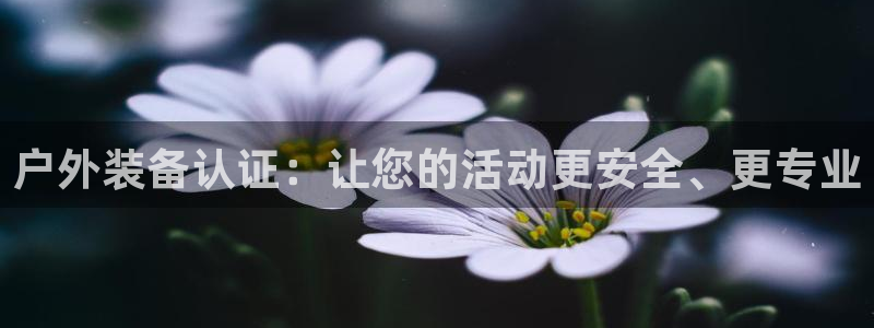 亚洲先锋娱乐招股