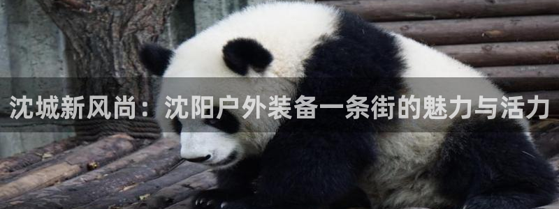 先锋娱乐集团公司