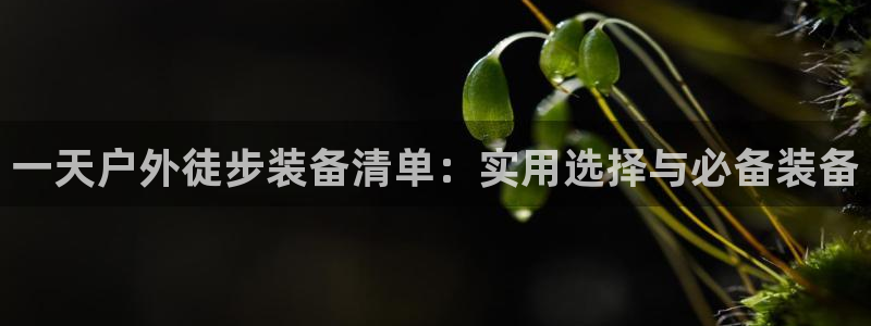 先锋娱乐理财logo