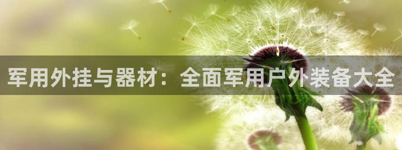 先锋娱乐游戏软件