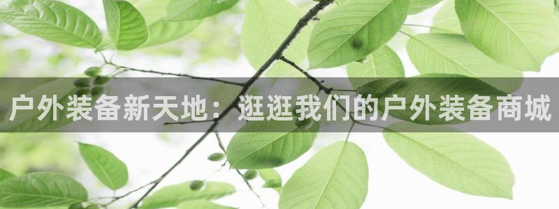 先锋娱乐大厅平台