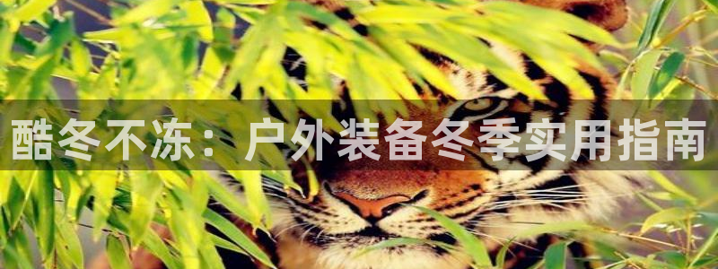 先锋澳门新娱乐