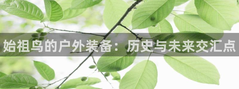 大连先锋娱乐