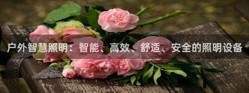 先锋队娱乐