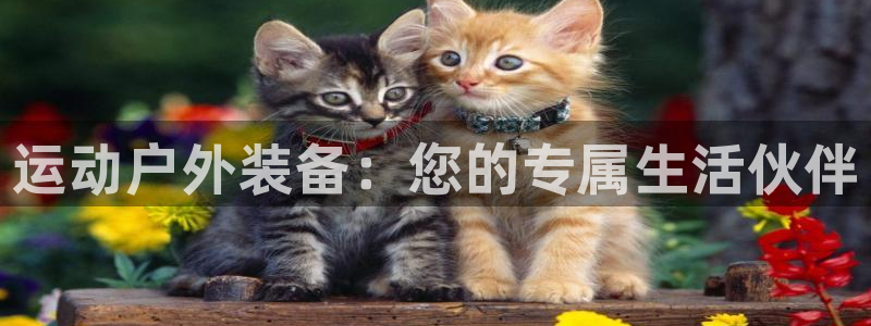 先锋娱乐游戏上分地址