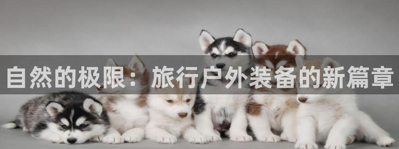 先锋娱乐垫付金额