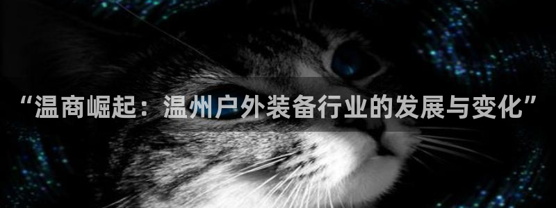大连先锋娱乐
