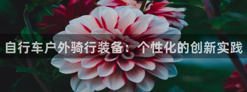 怎么下载先锋娱乐大厅