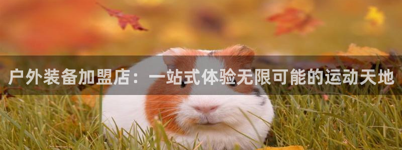 先锋娱乐游戏上分地址