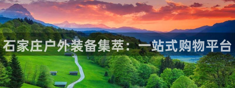 先锋娱乐资讯官网入口
