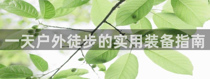 先锋娱乐剪辑